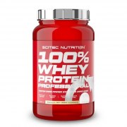 Заказать Scitec Nutrition 100% Whey Professional 920 гр